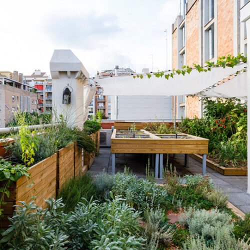 Coberta verda Balcells